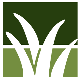 Lake Placid Lawn Clean Up