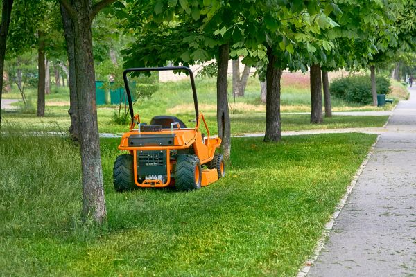 Landscaping Cleanup Service in Lake Placid