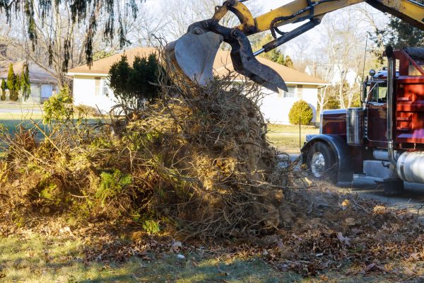 Storm Debris Removal in Lake Placid