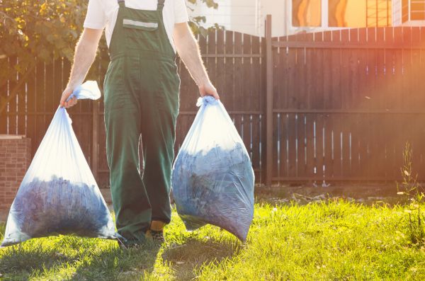 Landscape Cleanup Service