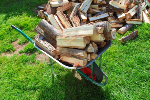 Firewood Stack Removal