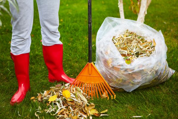 Leaf Disposal Service in Lake Placid