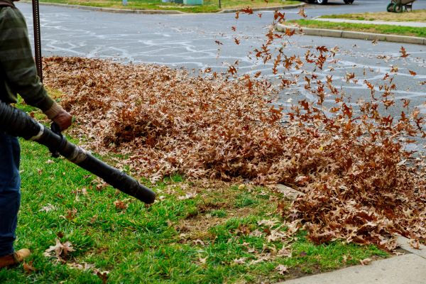 Garden Leaf Removal in Lake Placid