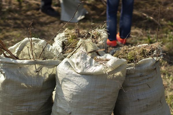 Brush Cleaning Service in Lake Placid