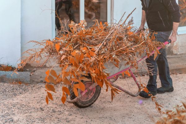 Cost of Lawn Debris Cleanup in Lake Placid