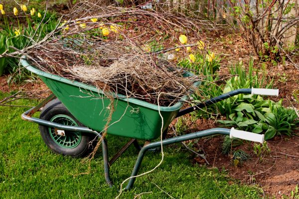 Lawn Waste Removal in Lake Placid