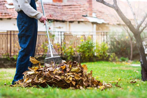 Fall Yard Cleanup Service in Lake Placid