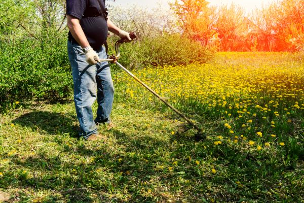 Yard Clearing Service in Lake Placid