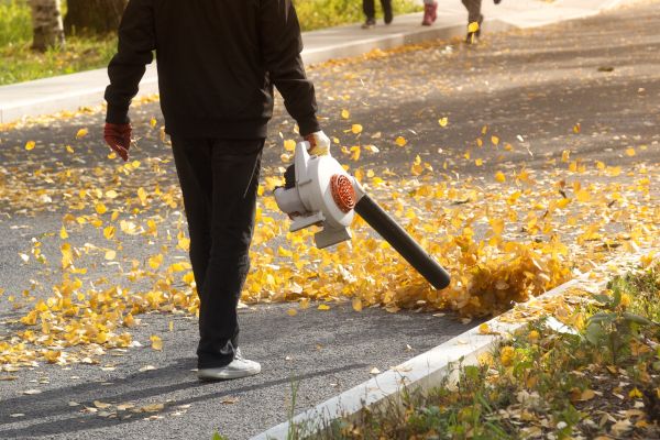 Commercial Leaf Removal in Lake Placid