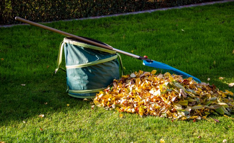 Garden Leaf Removal